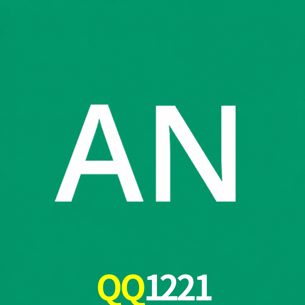 Adi Nugroho - Founder & CEO QQ1221 Indonesia